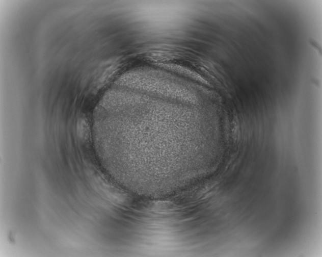 X0000099560371200805301546