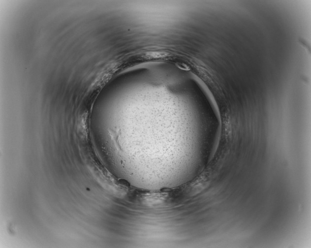 X0000099560373200805301546