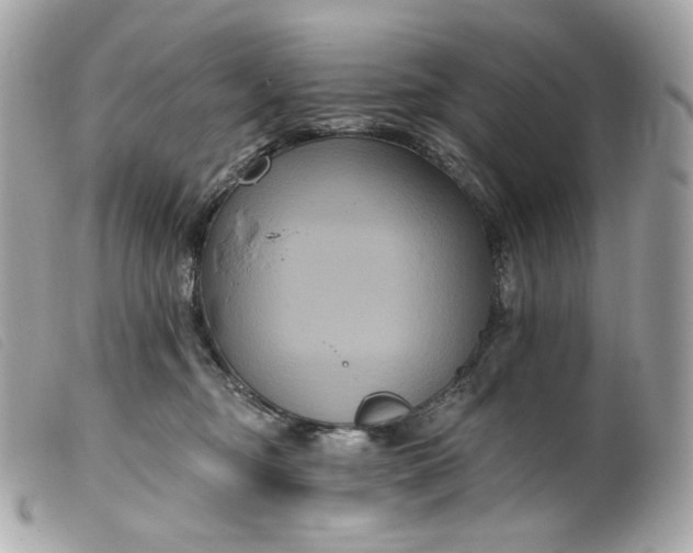 X0000099560374200805301546