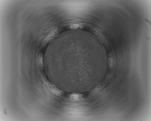 X0000099560375200805301546