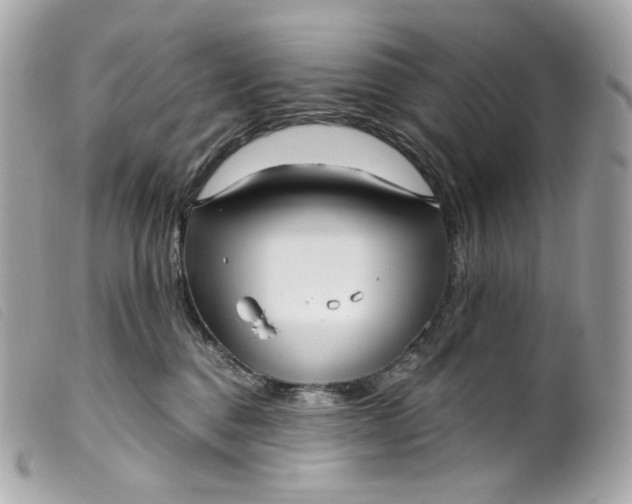 X0000099560376200805301546