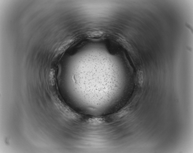 X0000099560378200805301546