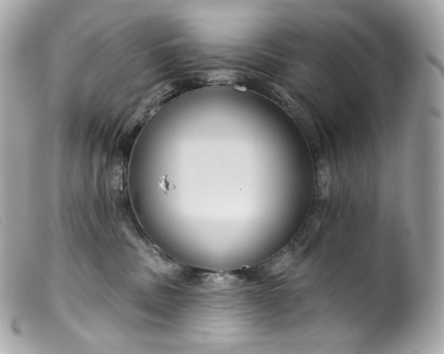 X0000099560379200805301546