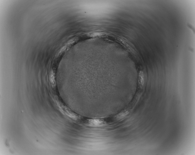 X0000099560380200805301546