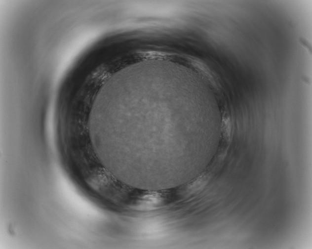 X0000099560381200805301546