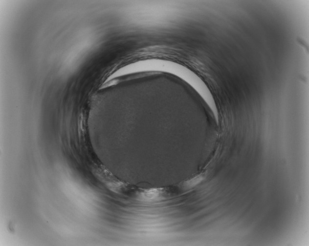 X0000099560382200805301546