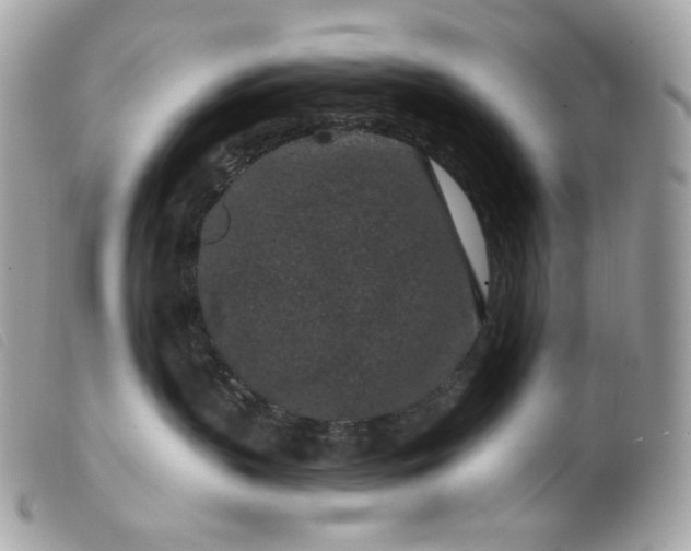 X0000099560383200805301546