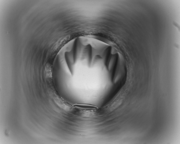 X0000099560384200805301546