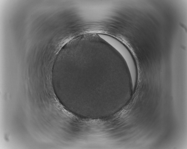 X0000099560385200805301545