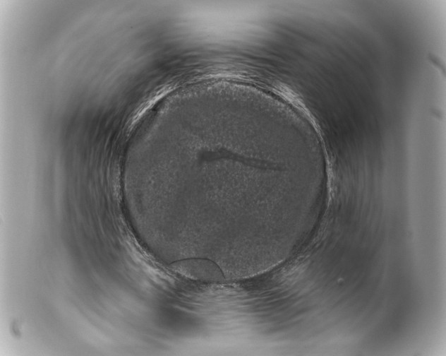 X0000099560386200805301545