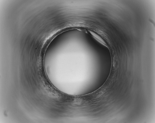 X0000099560388200805301545