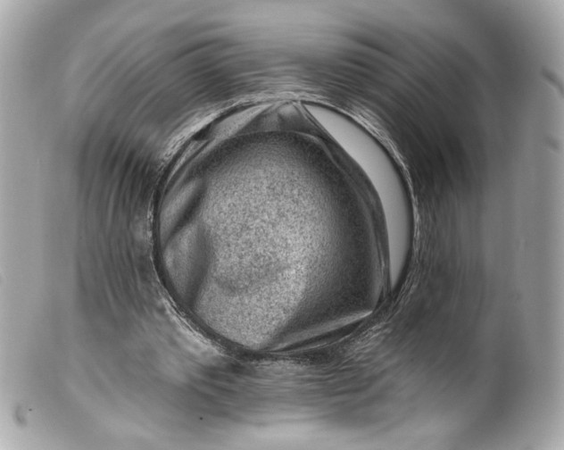 X0000099560389200805301545