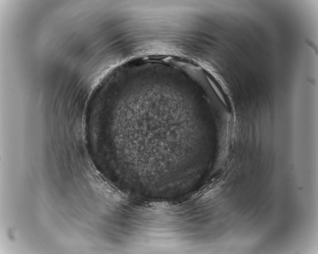 X0000099560391200805301545