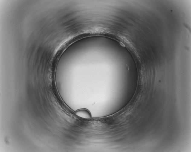 X0000099560392200805301545