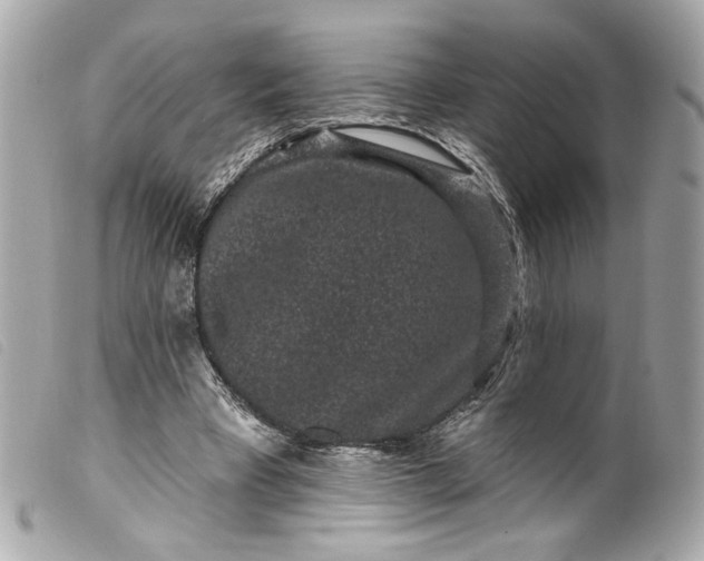 X0000099560393200805301545