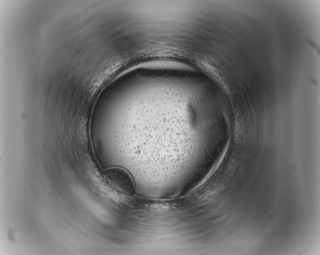 X0000099560394200805301545