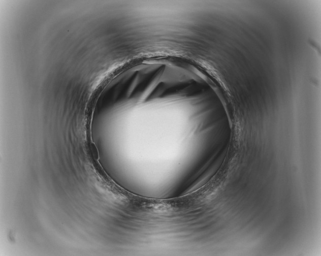 X0000099560395200805301545