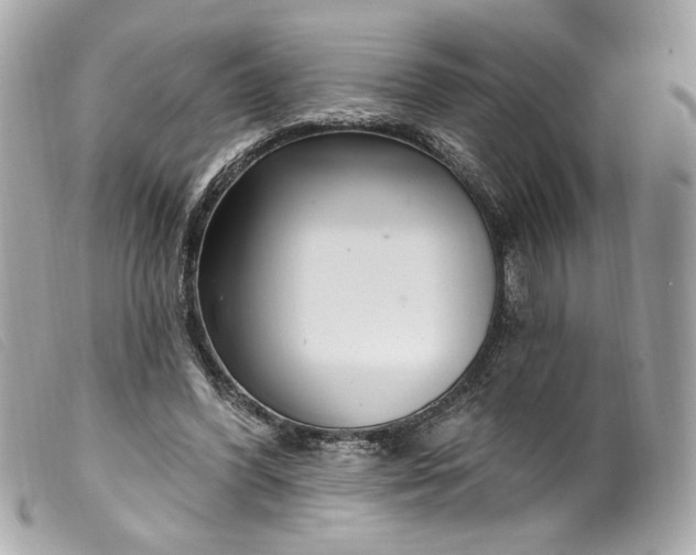 X0000099560396200805301545