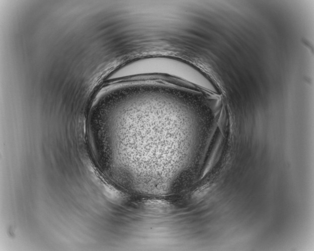 X0000099560397200805301545