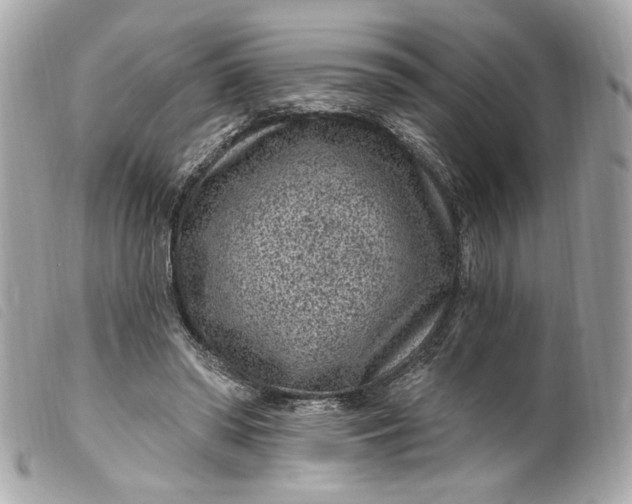 X0000099560398200805301545