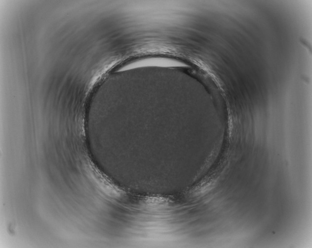 X0000099560399200805301545