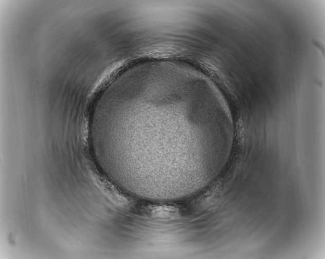 X0000099560400200805301545