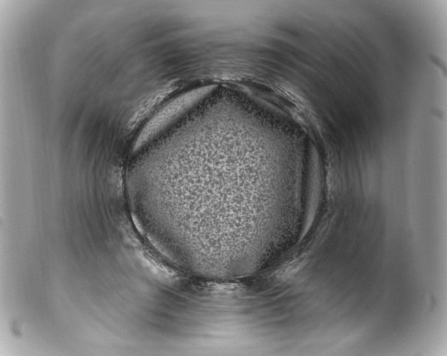 X0000099560401200805301545