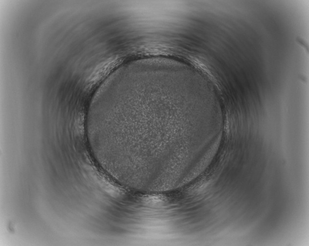 X0000099560402200805301545