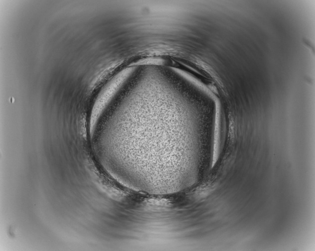 X0000099560403200805301545