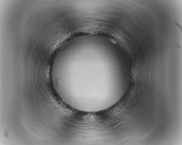 X0000099560404200805301545