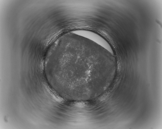 X0000099560405200805301545