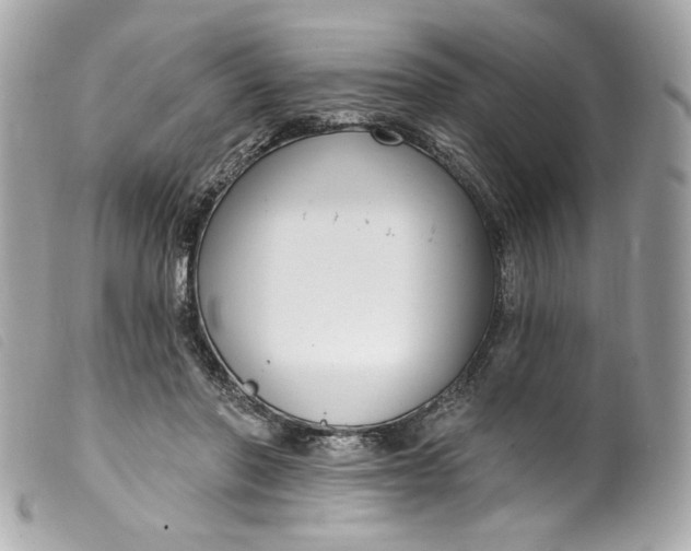 X0000099560406200805301545