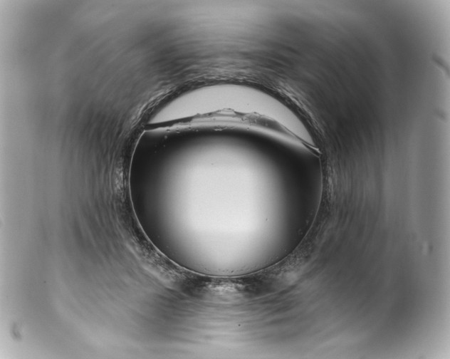 X0000099560407200805301545