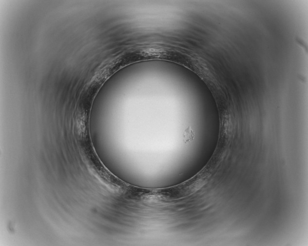 X0000099560408200805301545