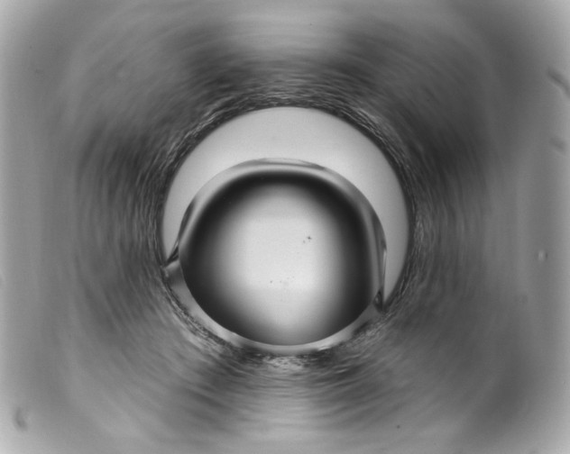 X0000099560409200805301545