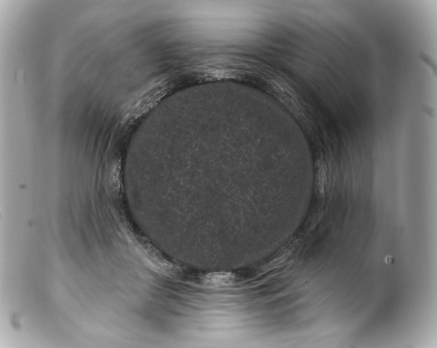 X0000099560410200805301545