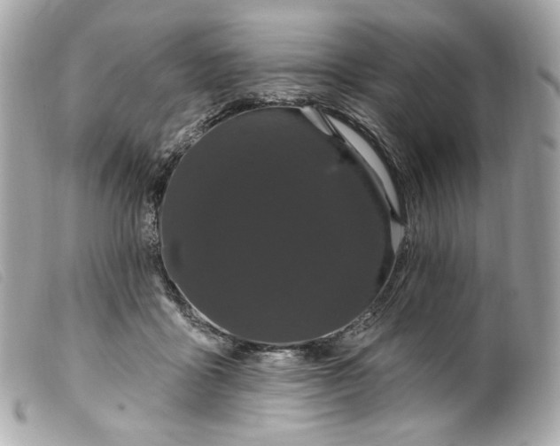 X0000099560411200805301545