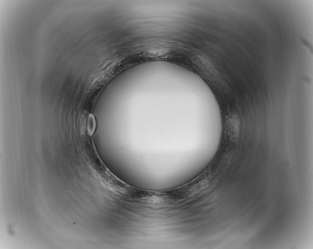 X0000099560412200805301545