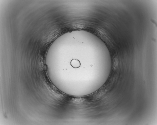 X0000099560414200805301545