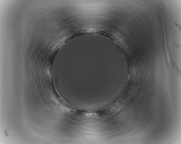 X0000099560415200805301545