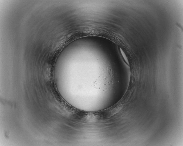 X0000099560416200805301545