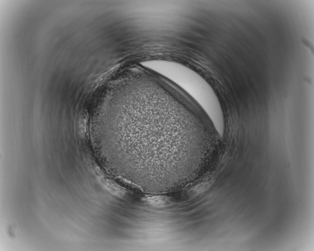 X0000099560417200805301545