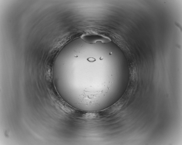 X0000099560418200805301545