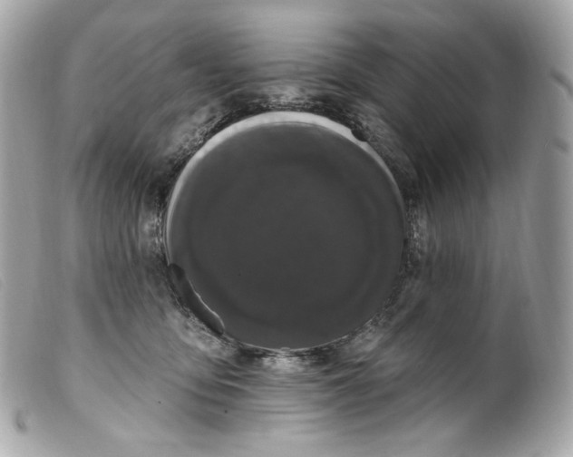 X0000099560419200805301545