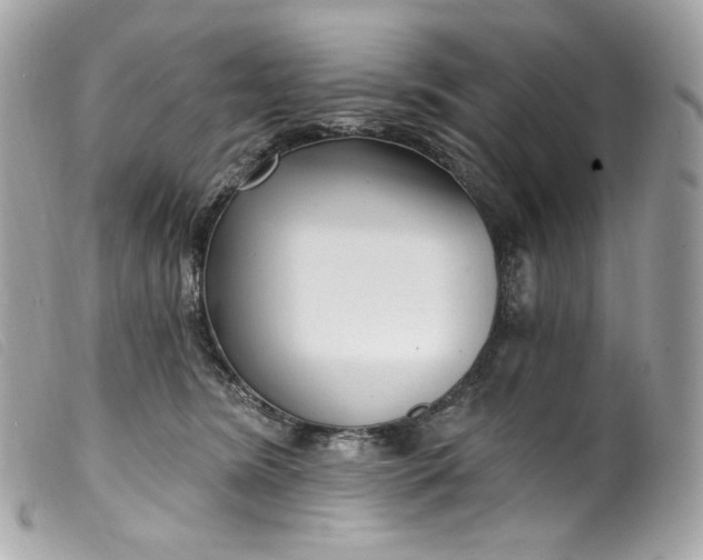 X0000099560420200805301545