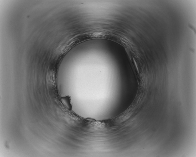 X0000099560421200805301545