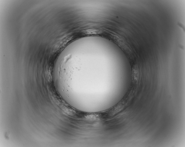 X0000099560422200805301545