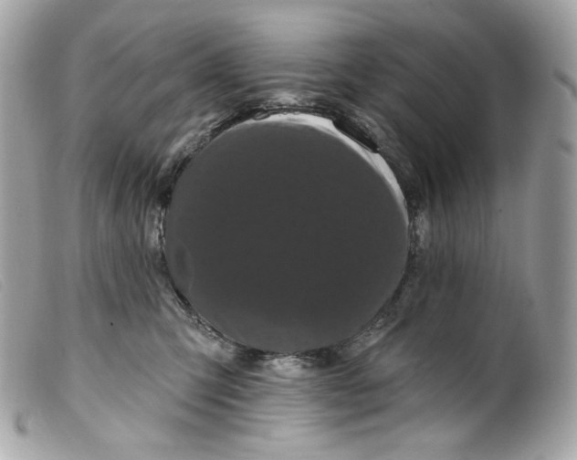 X0000099560423200805301545