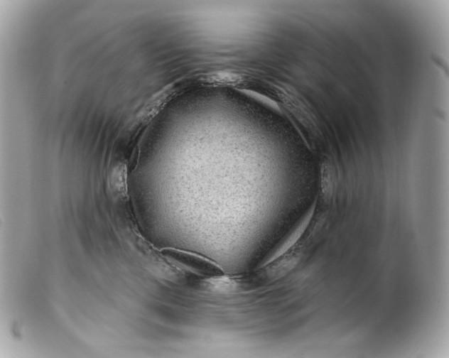 X0000099560425200805301545