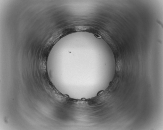 X0000099560426200805301545